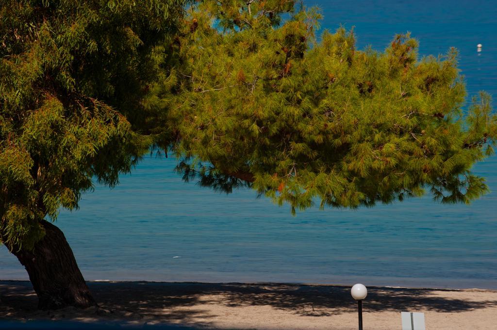 Akti House Psarogiannis Apartments & Studios Vourvourou Dış mekan fotoğraf